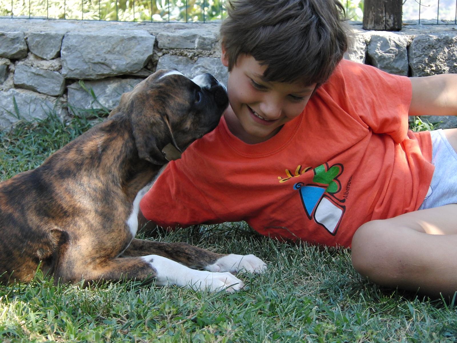 Il bello di vivere con un Boxer